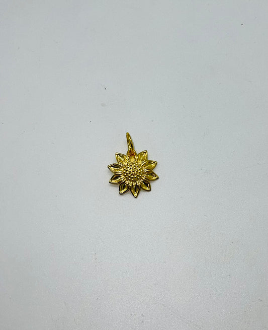 Vermeil sterling silver charm